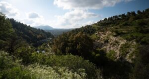 זמן-להתבונן