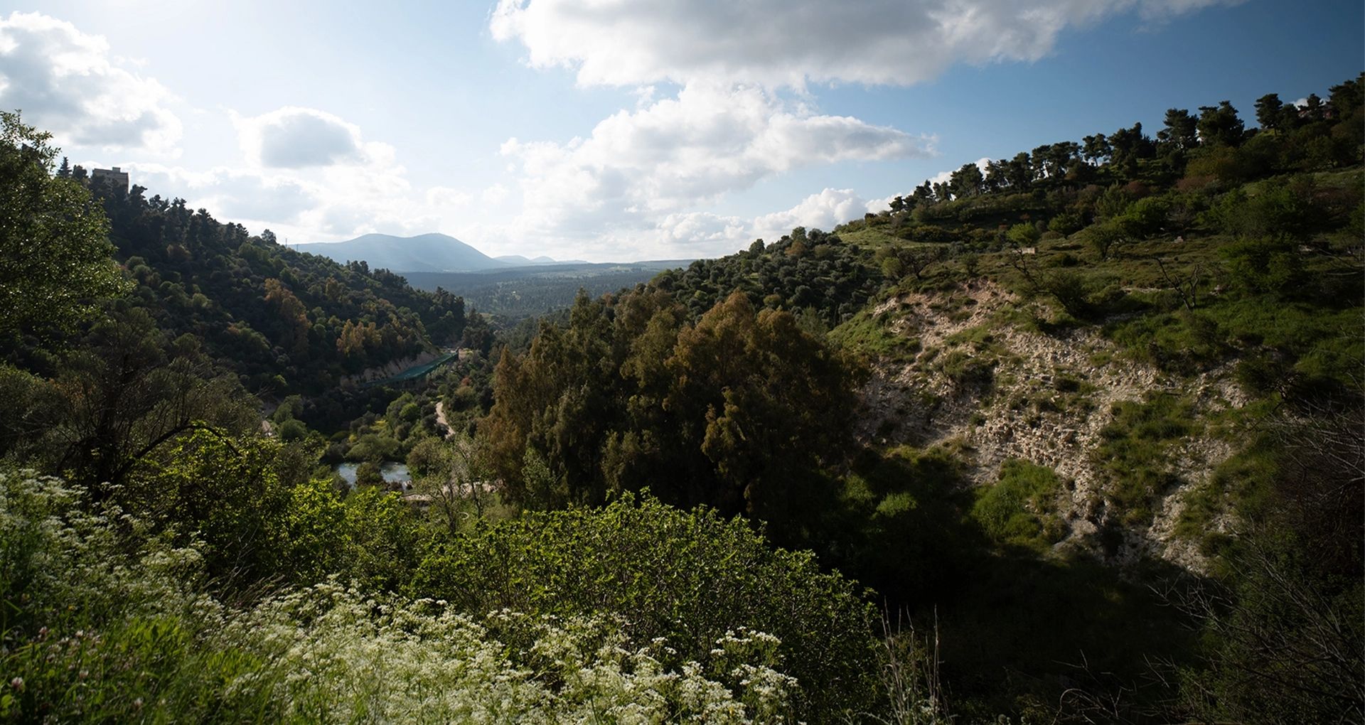 זמן-להתבונן